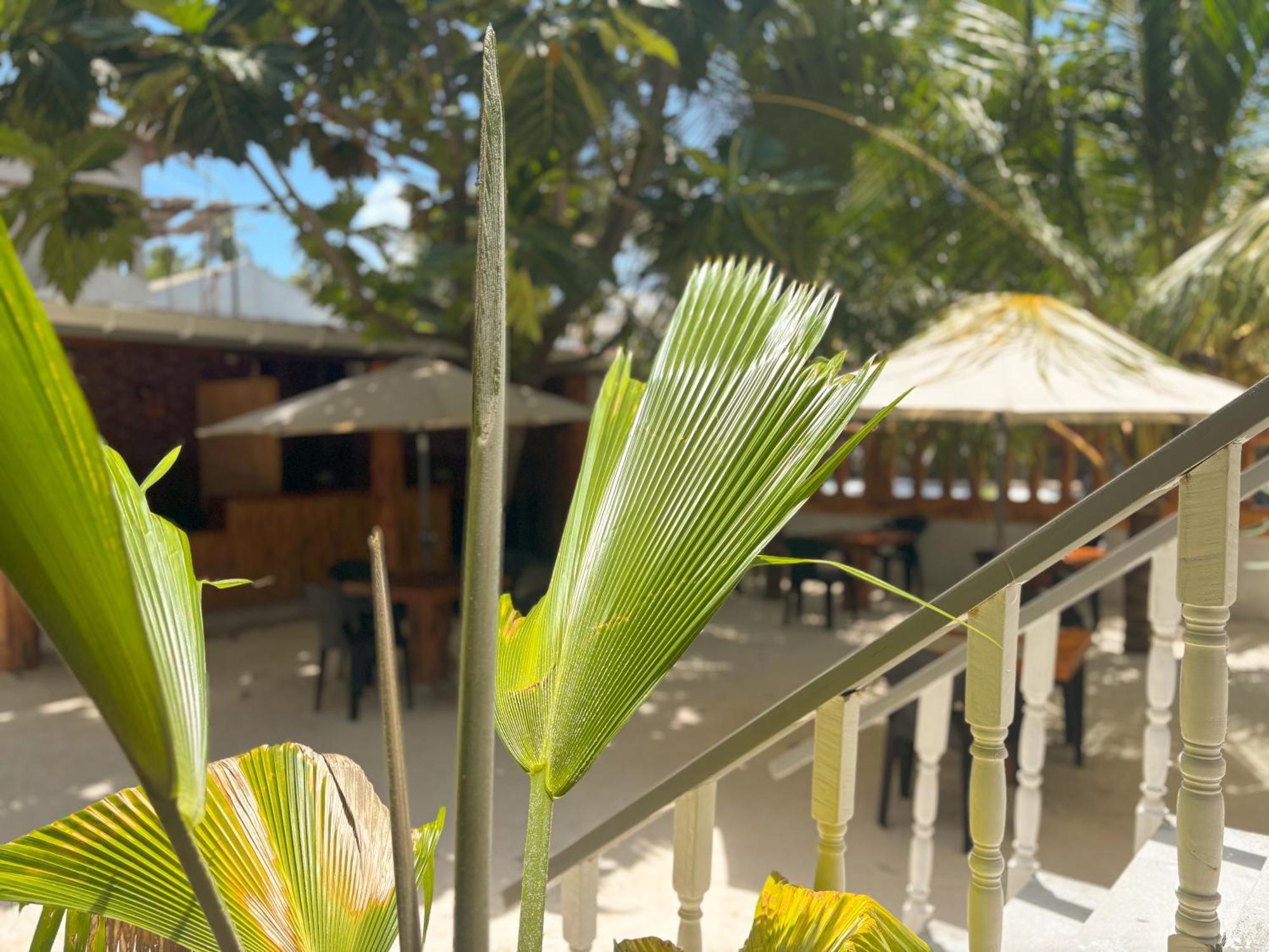 Mathiveri Thundi Inn Exterior foto